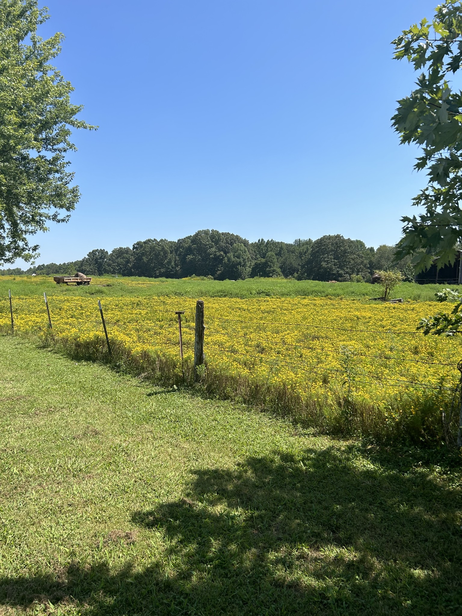 10 Community Road Lawrenceburg, TN 38464 - Photo 7 of 21 Gallery Image 7