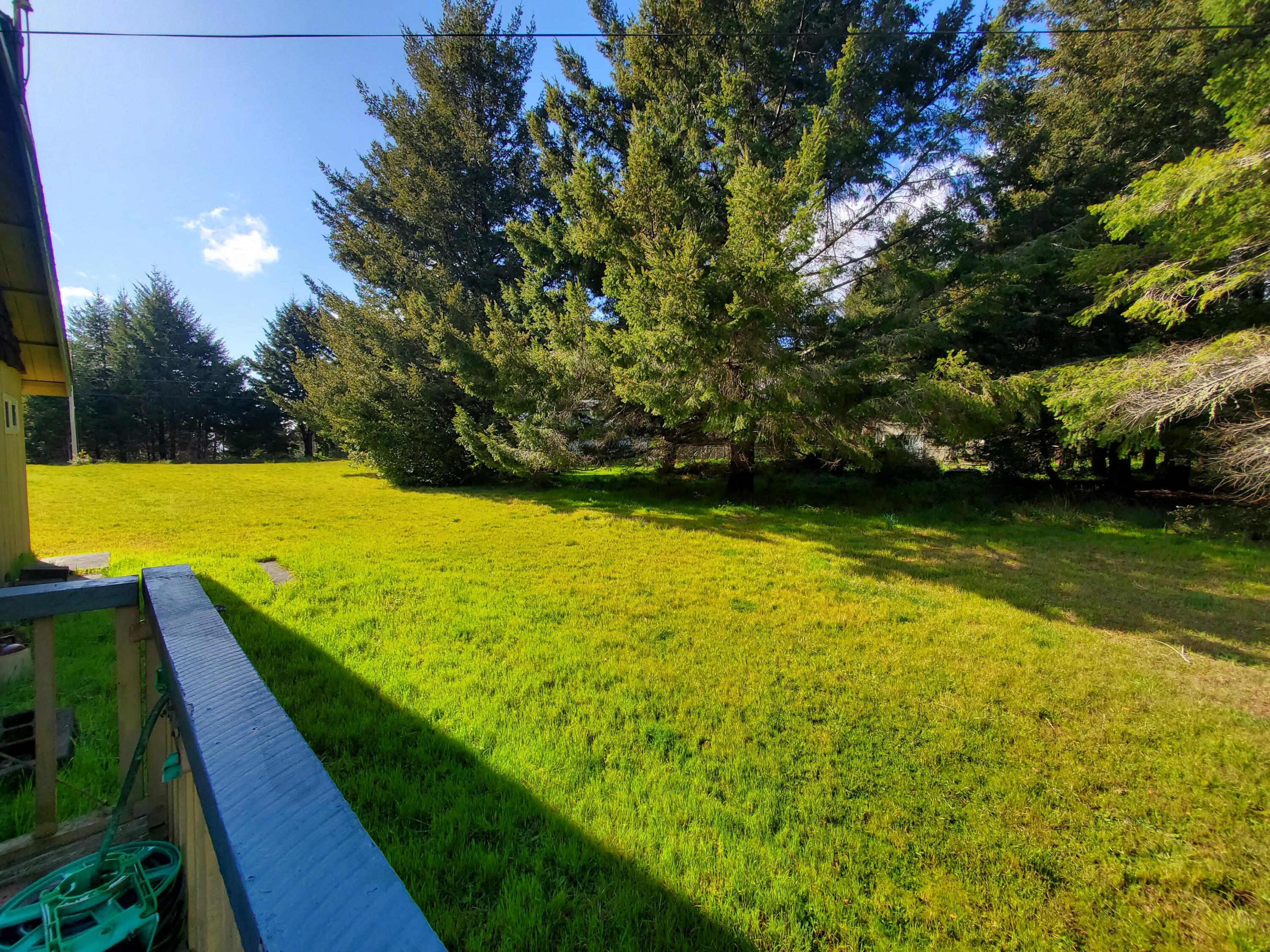 312 Redwood Road Whitethorn, CA 95589 - Photo 12 of 41