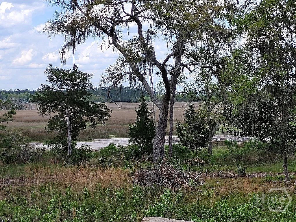 67 Bermuda Blf Lane Midway, GA 31320 - Photo 5 of 30