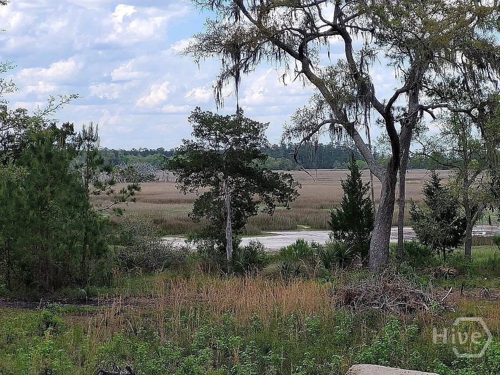 67 Bermuda Blf Lane Midway, GA 31320 - Photo 6 of 30