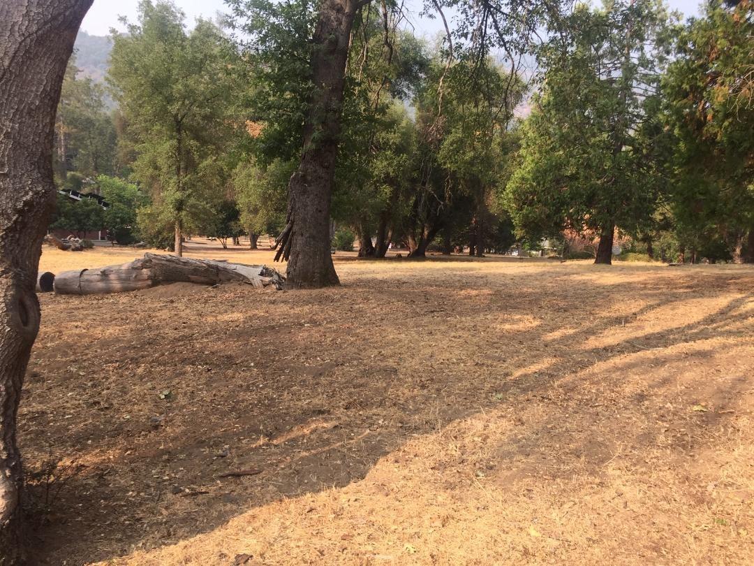 0 Pine Ridge Road Oakhurst, CA 93644 - Photo 8 of 9 Gallery Image 8