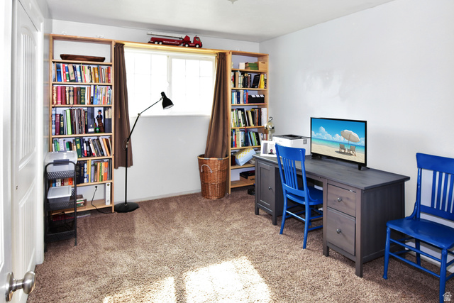 315 Park Street Inkom, ID 83245 - Photo 13 of 28 Well-lit room featuring neutral carpet flooring and white walls