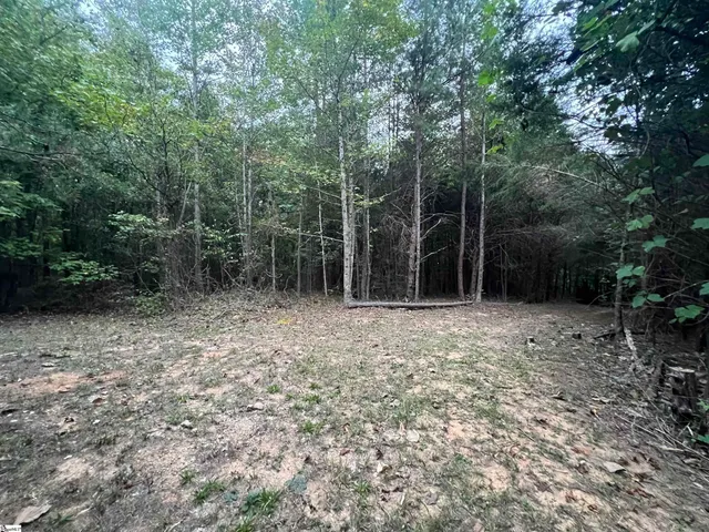 $389,000 | 2109 Riddle Road, Pauline, SC 29374