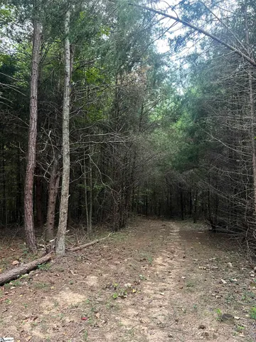 $389,000 | 2109 Riddle Road, Pauline, SC 29374