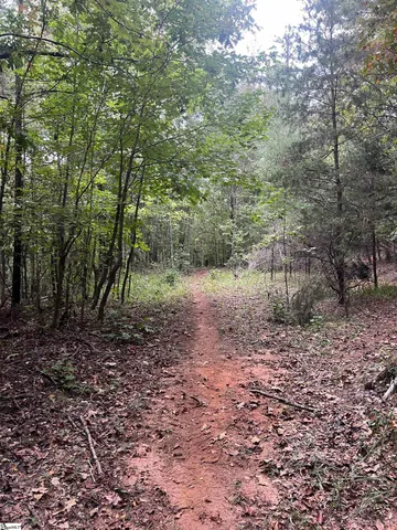 $389,000 | 2109 Riddle Road, Pauline, SC 29374