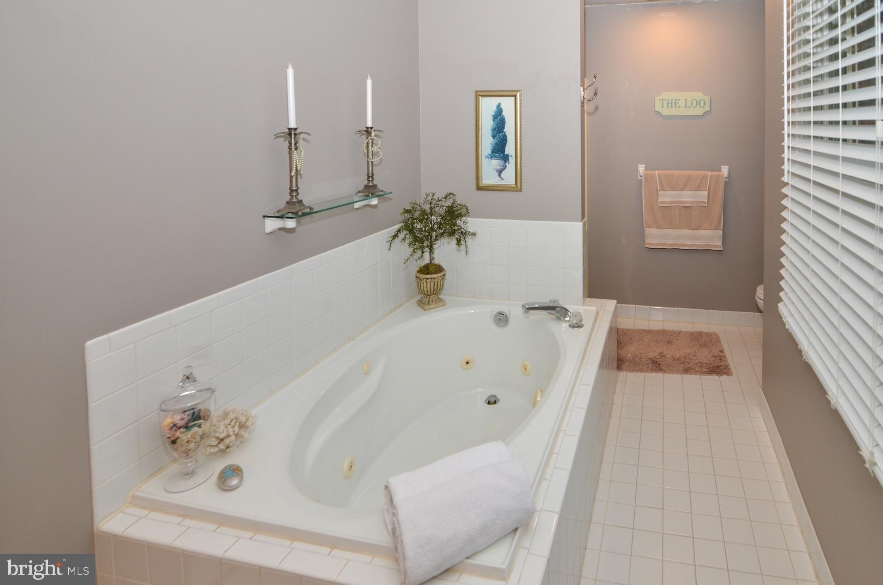 159 Applegate Drive Hamilton, NJ 08690 - Photo 30 of 54 Primary Bath