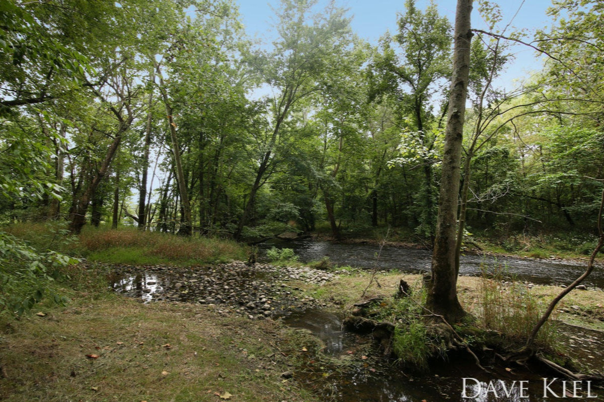 2525 McCann Road Middleville, MI 49333 - Photo 45 of 51 490A9001