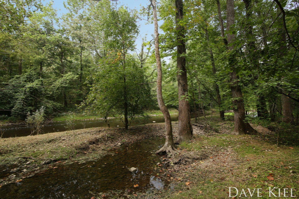 2525 McCann Road Middleville, MI 49333 - Photo 46 of 51 490A9002