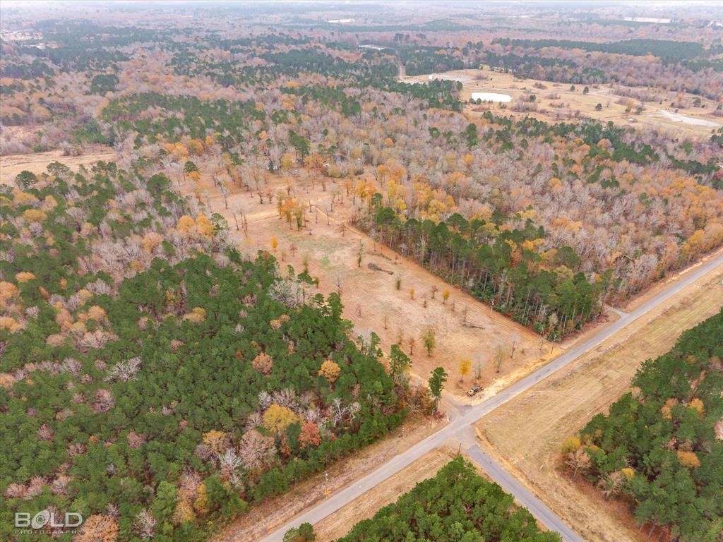 0 John Road Gloster, LA 71030 - Photo 12 of 13 a view of city and mountain