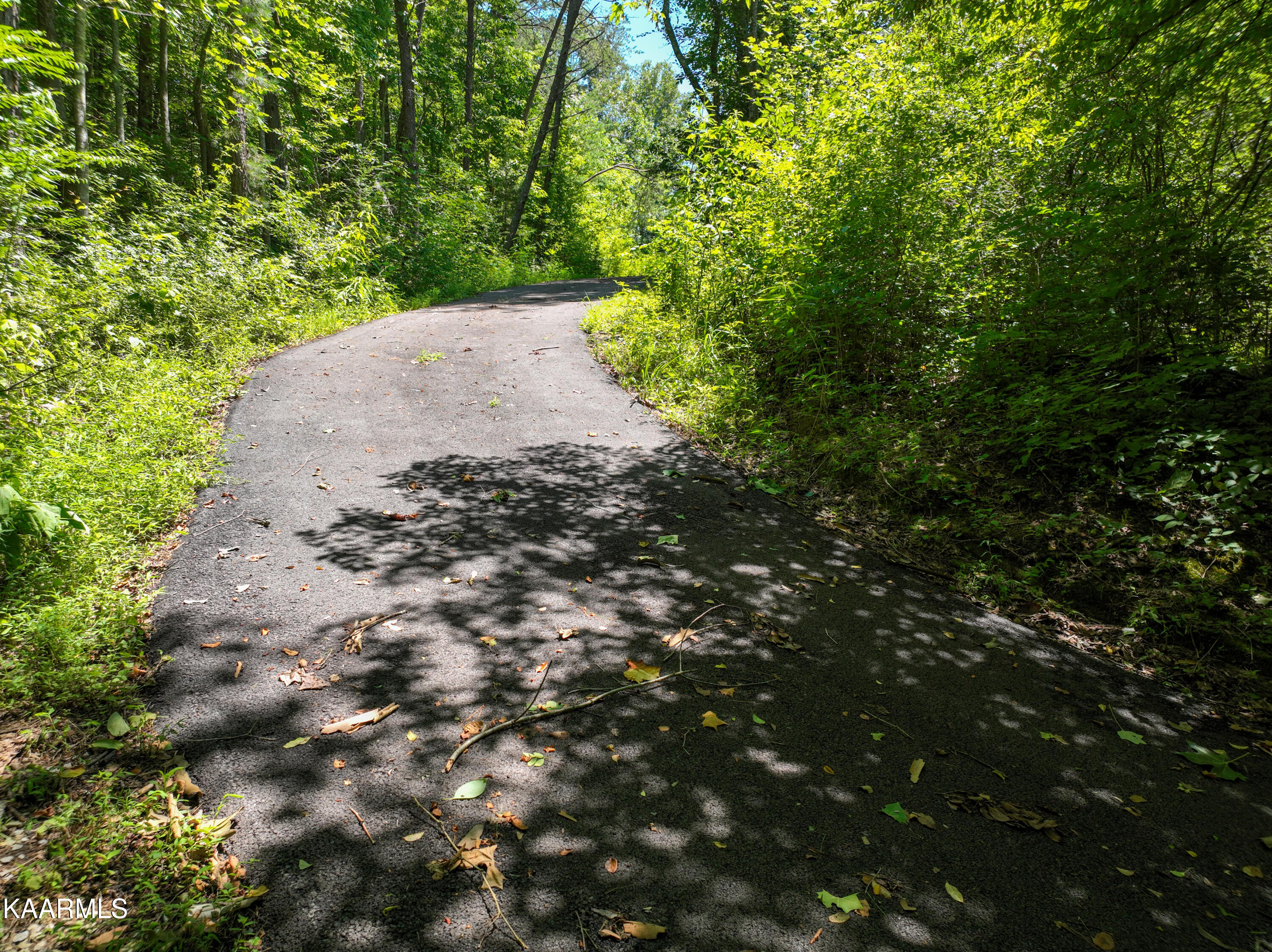 820 Middle Creek Road Cosby, TN 37722 - Photo 22 of 27 820 Middle Creek Road, Cosby-11