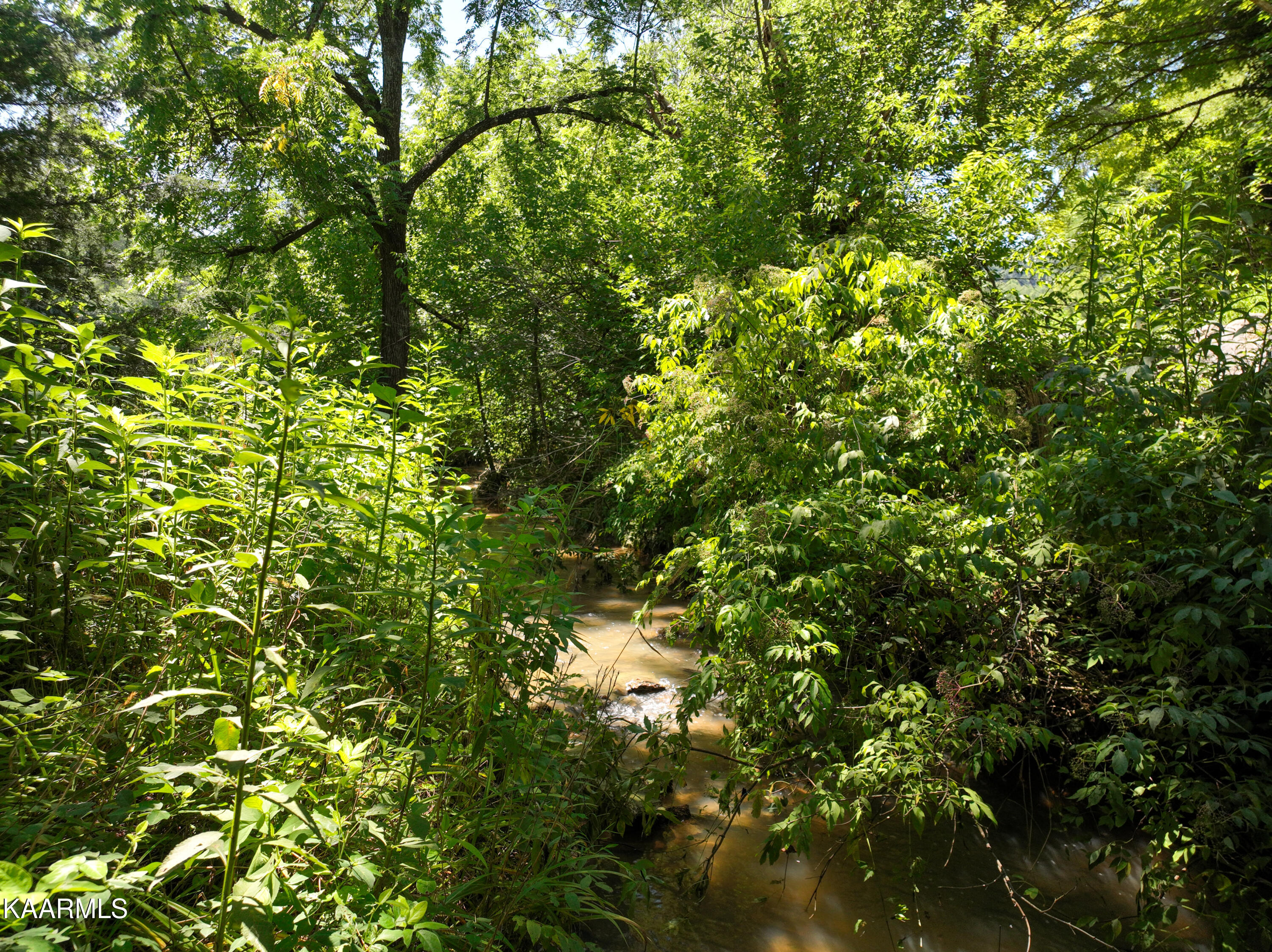 820 Middle Creek Road Cosby, TN 37722 - Photo 26 of 27 820 Middle Creek Road, Cosby-2