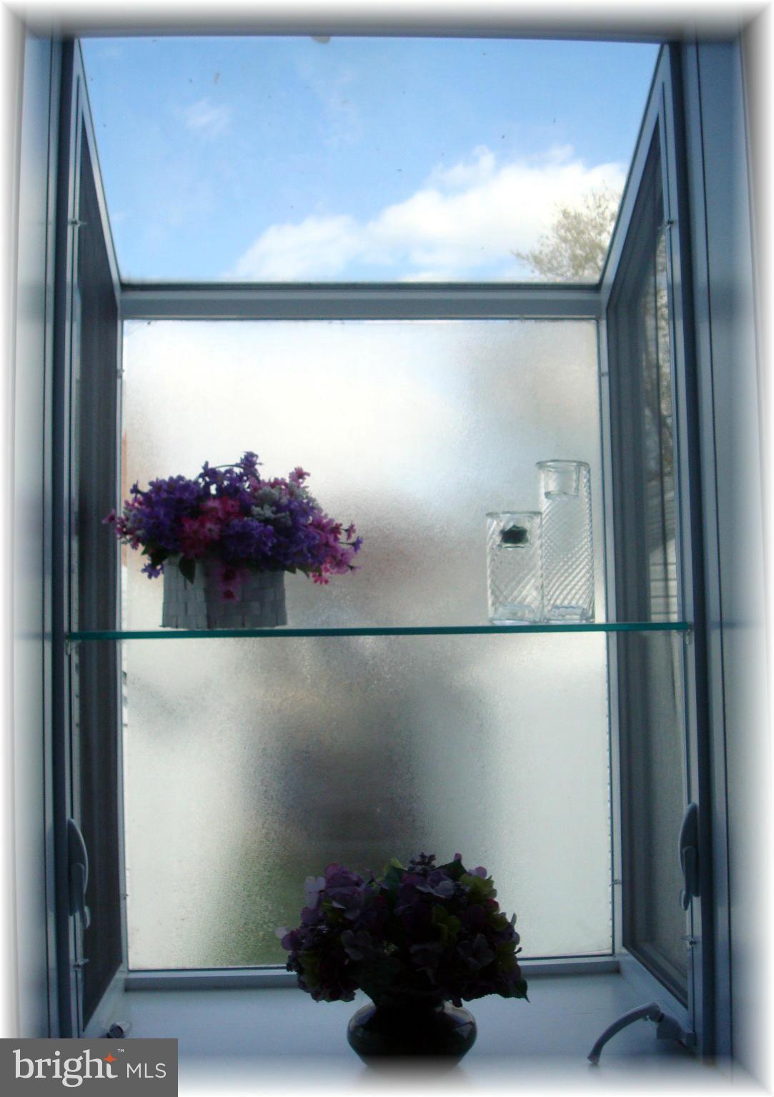 372 Stillwater Road Baltimore, MD 21221 - Photo 14 of 29 Plant window in the kitchen.