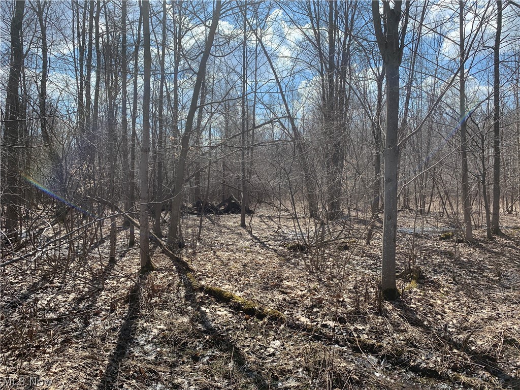 Anderson Road Pierpont, OH 44082 - Photo 17 of 27 Gallery Image 17
