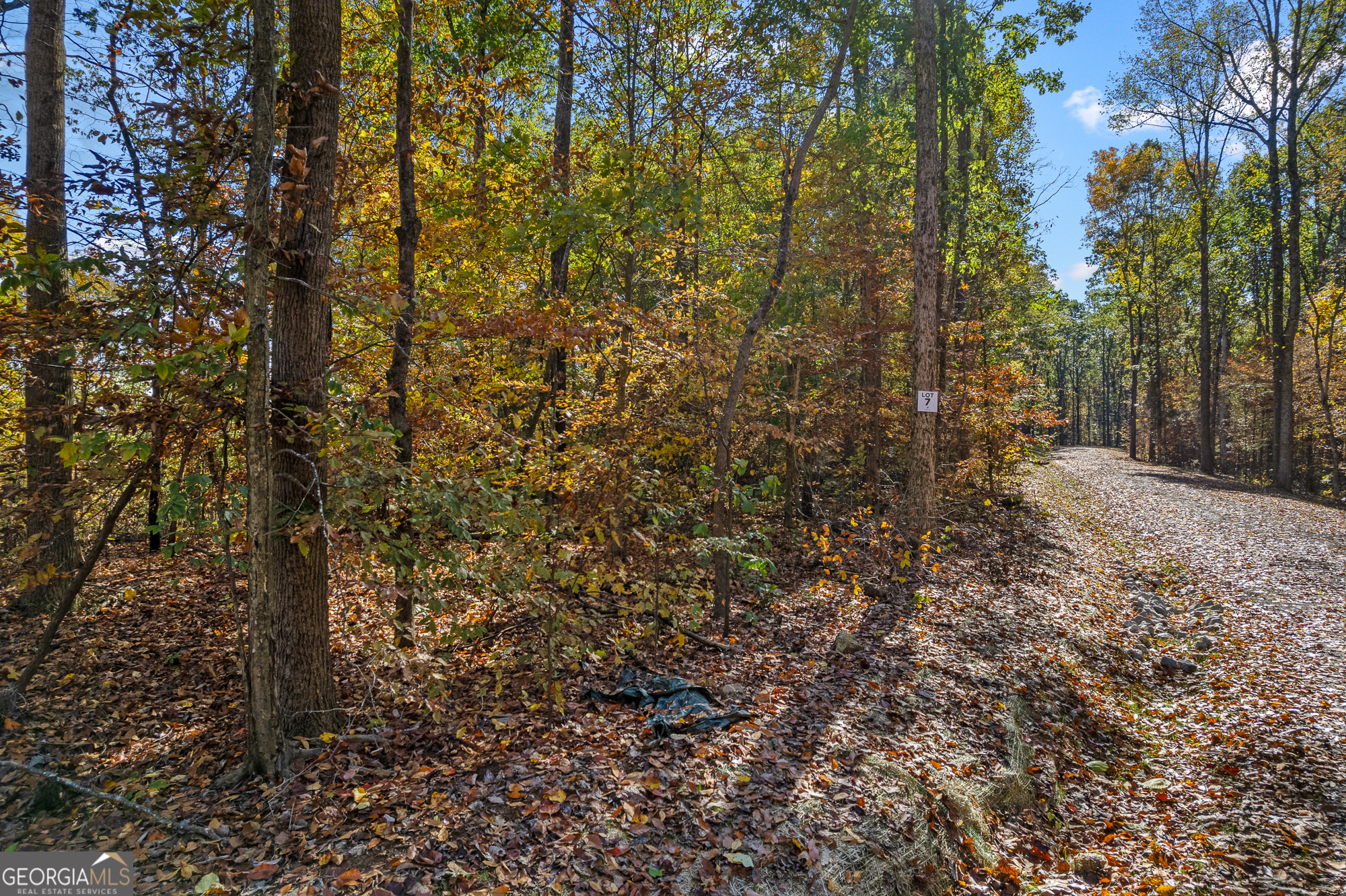 300 County Road 29 Riceville, TN 37370 - Photo 11 of 28 a view of a yard with trees