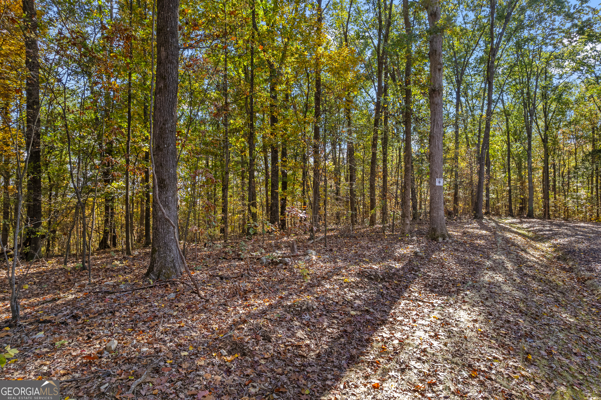 300 County Road 29 Riceville, TN 37370 - Photo 12 of 28 a view of outdoor space and trees