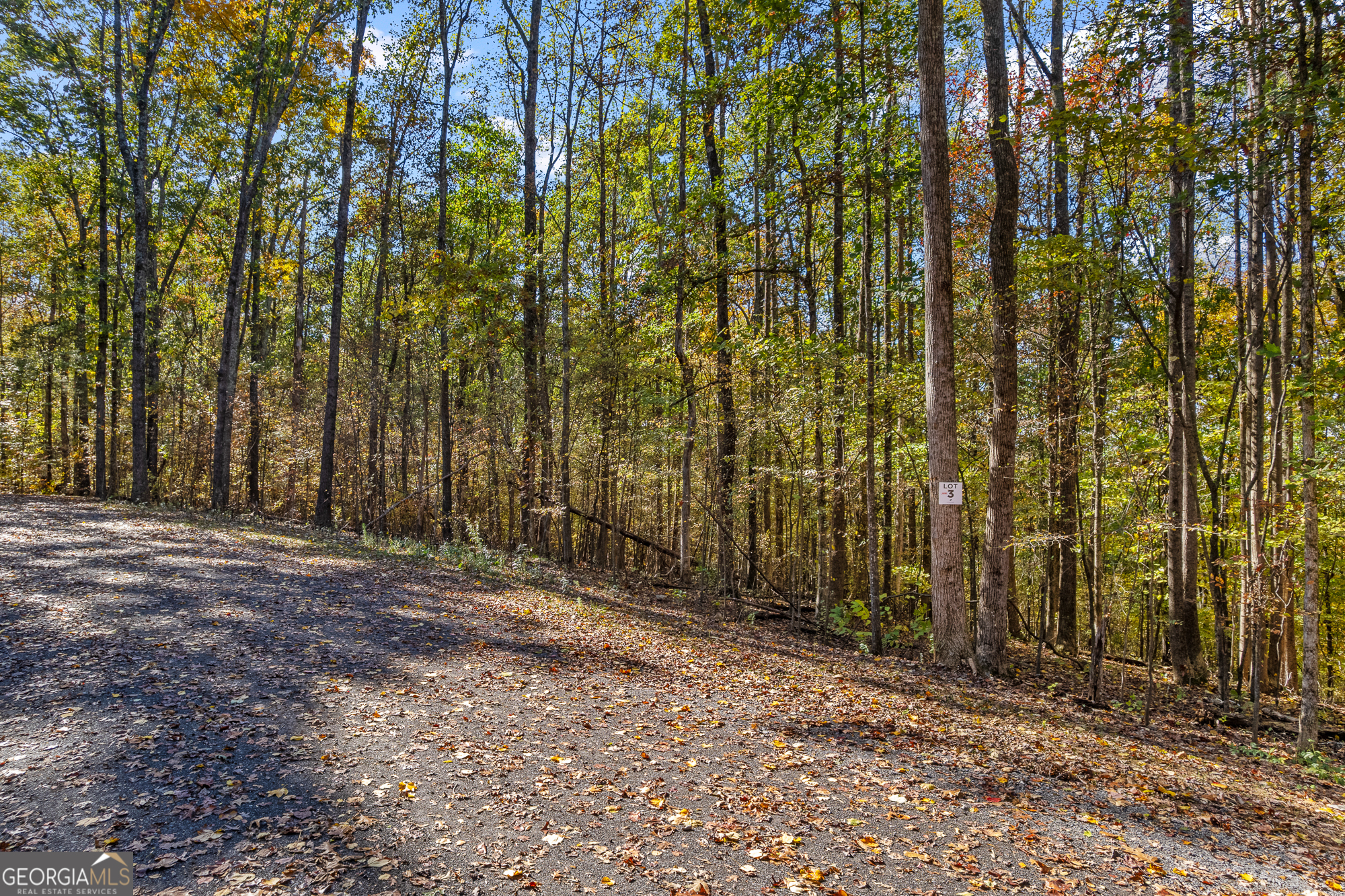 300 County Road 29 Riceville, TN 37370 - Photo 13 of 28 a view of backyard with green space