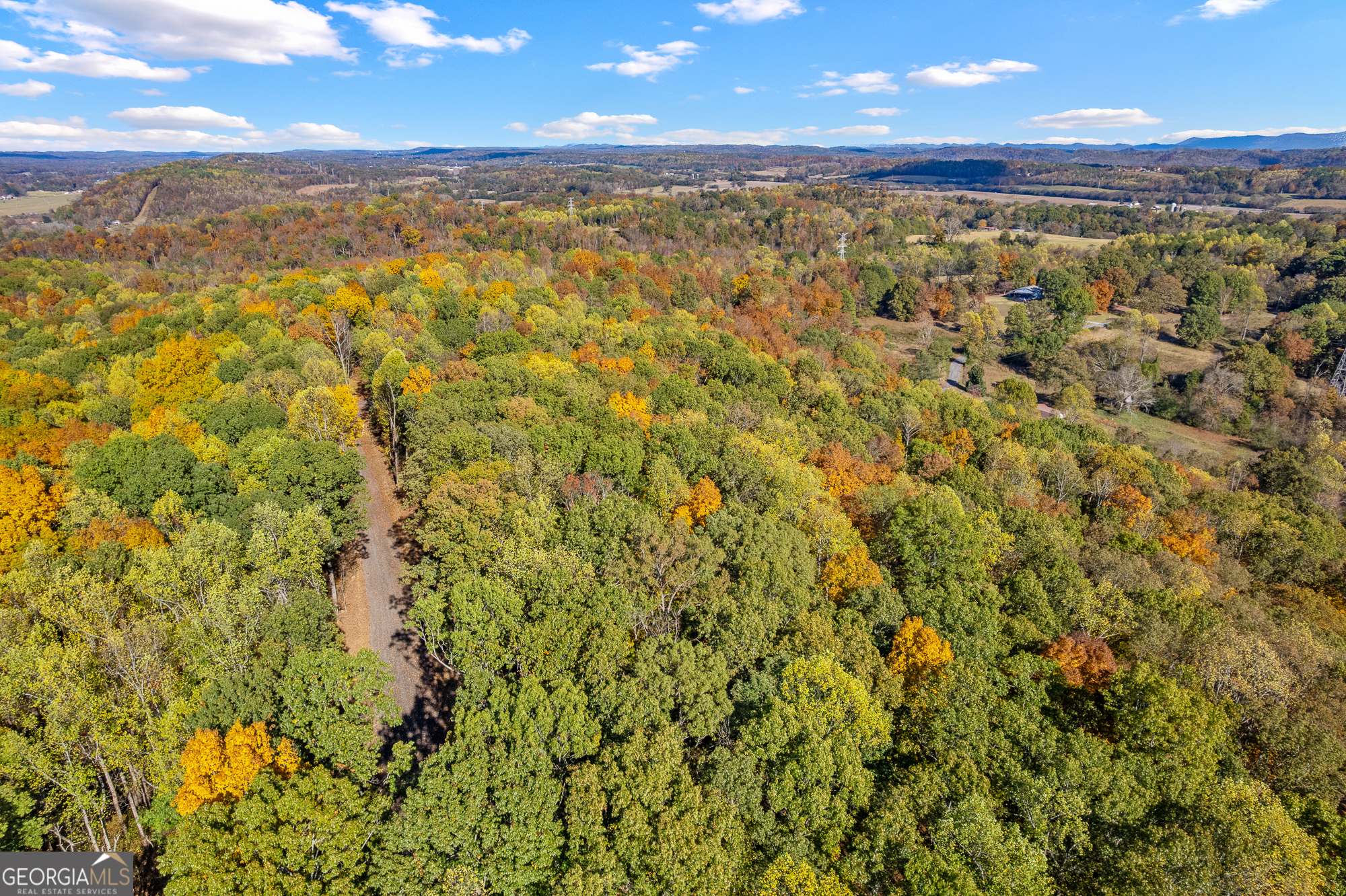 300 County Road 29 Riceville, TN 37370 - Photo 15 of 28