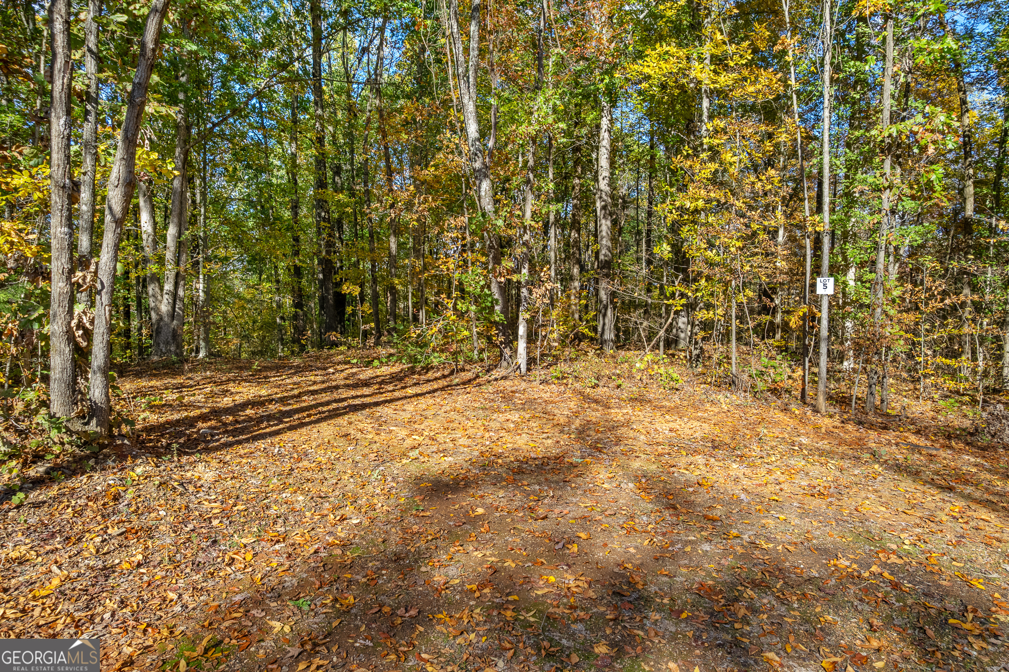 300 County Road 29 Riceville, TN 37370 - Photo 16 of 28 a view of empty room with wooden fence