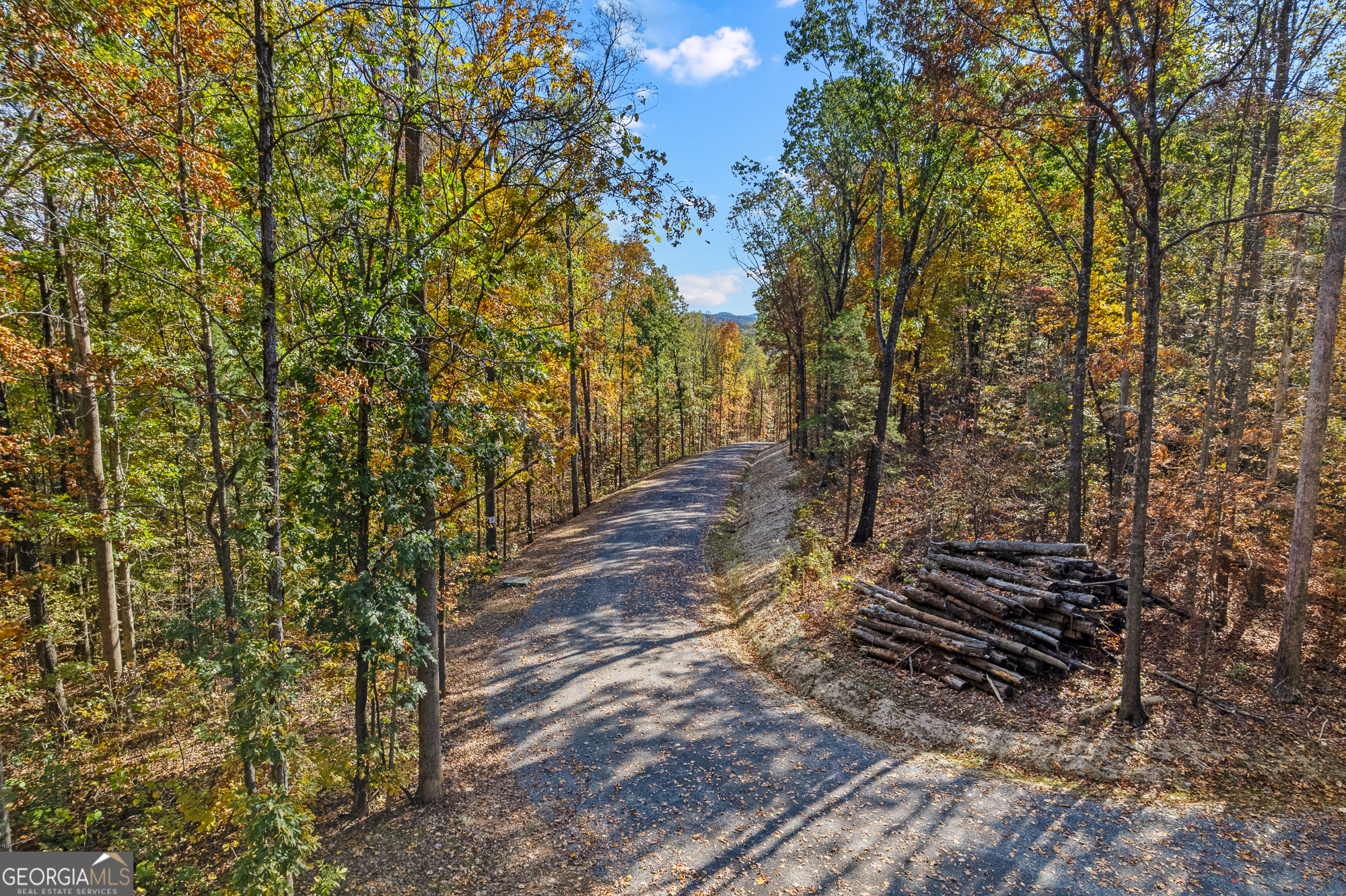 300 County Road 29 Riceville, TN 37370 - Photo 18 of 28 a view of a yard with plants and trees