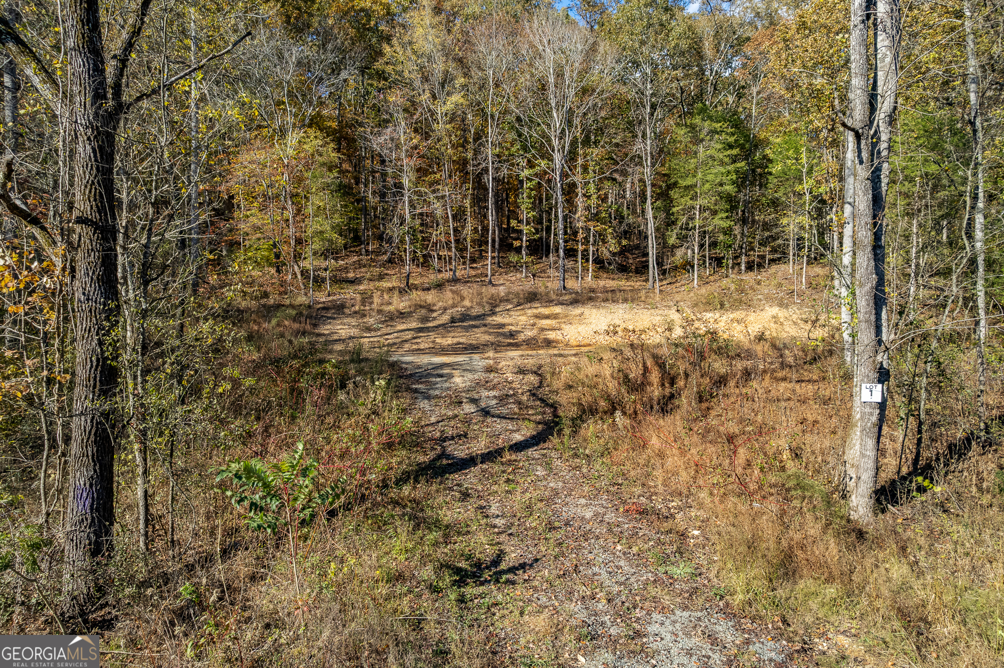 300 County Road 29 Riceville, TN 37370 - Photo 23 of 28 a view of outdoor space with a garden