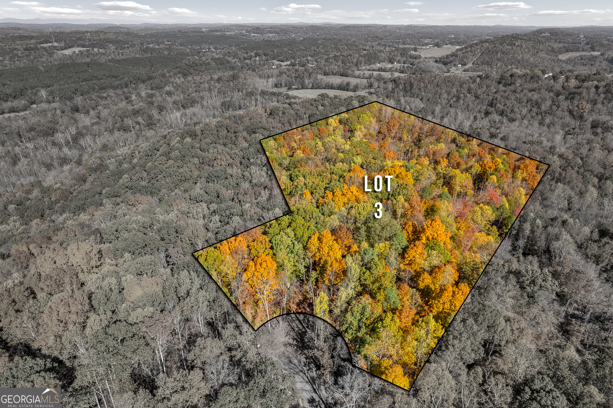 300 County Road 29 Riceville, TN 37370 - Photo 3 of 28 a view of a pool