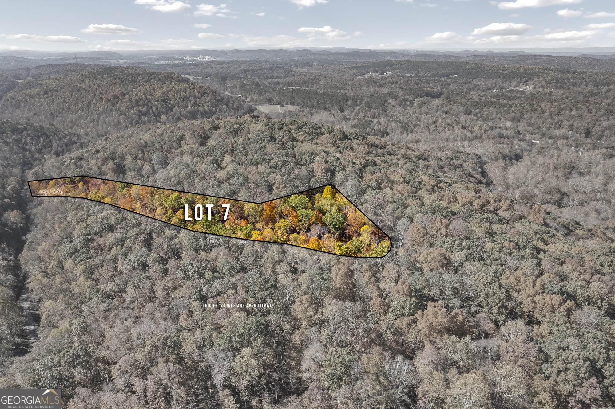 300 County Road 29 Riceville, TN 37370 - Photo 7 of 28