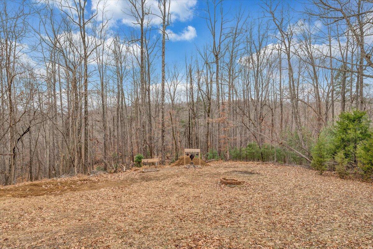 5705 Fork Mountain Road Rocky Mount, VA 24151 - Photo 39 of 53 39-MIB06650