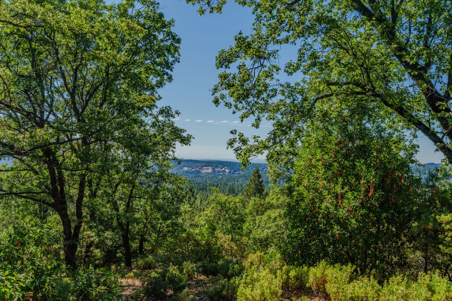 0 Silver Point Pioneer, CA 95666 - Photo 9 of 26
