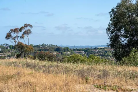 a view of a lake in middle of forest