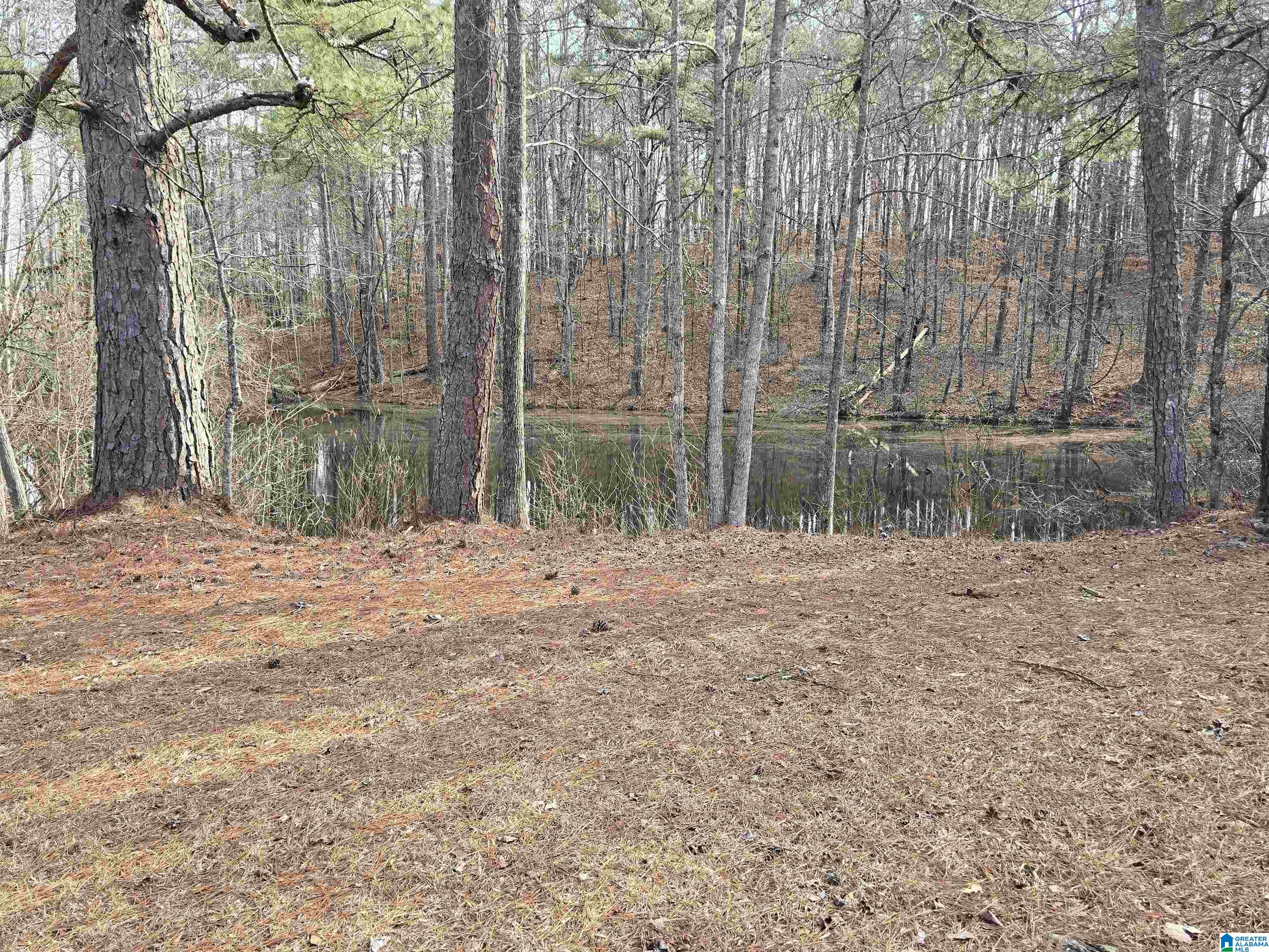 1958 Horns Lake Road Talladega, AL 35160 - Photo 29 of 30