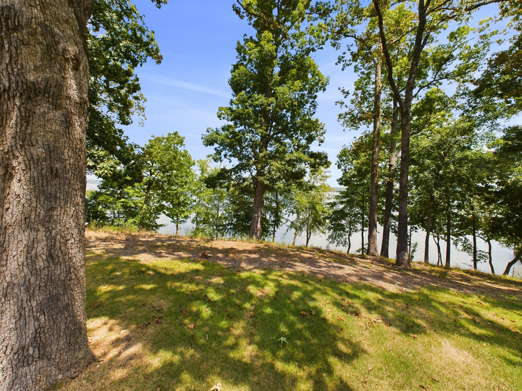 240 Weekend Lane Murray, KY 42071 - Photo 40 of 65 a view of swimming area with trees