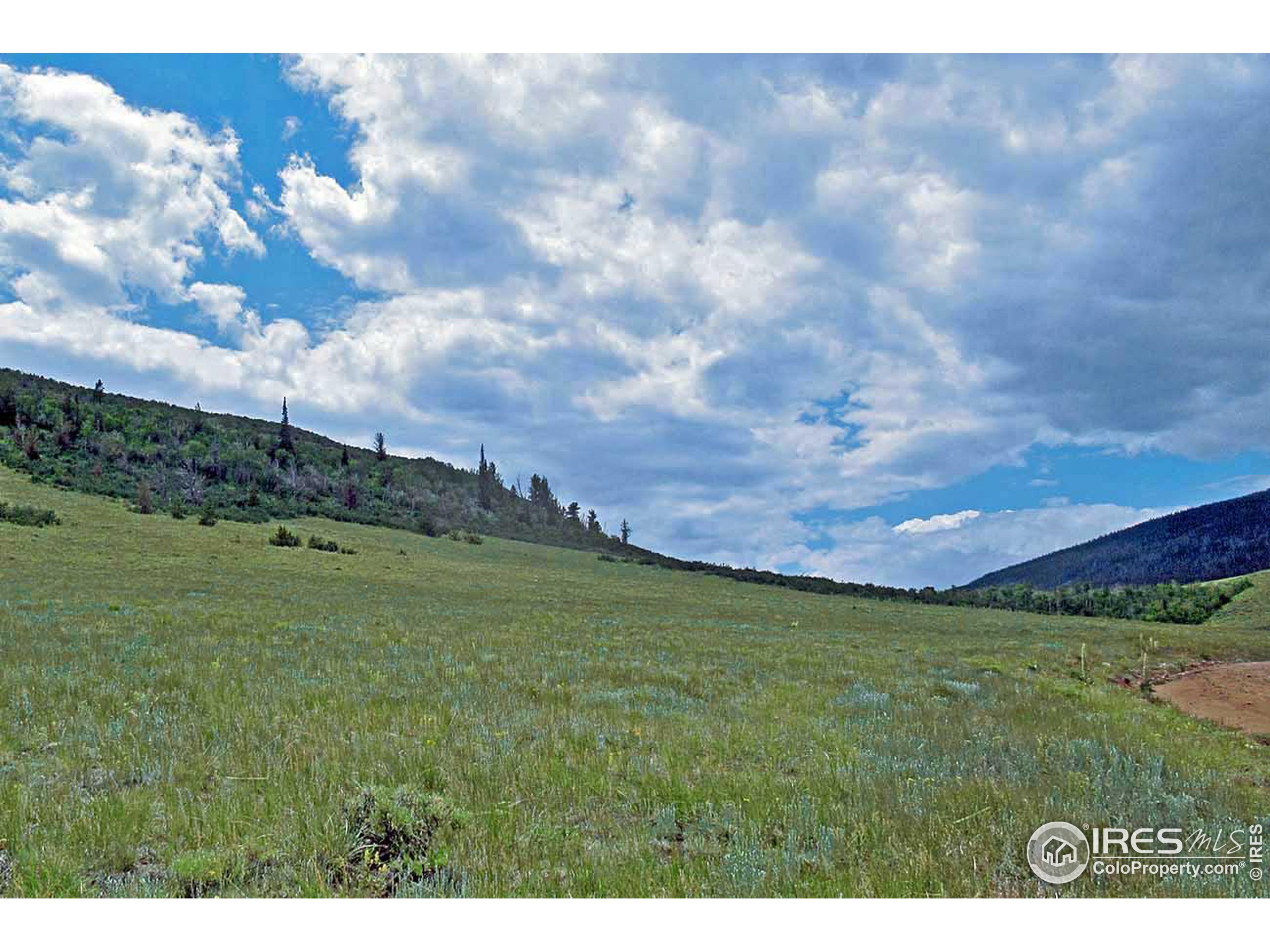 Plano Road Livermore, CO 80536 - Photo 2 of 9 Gallery Image 2