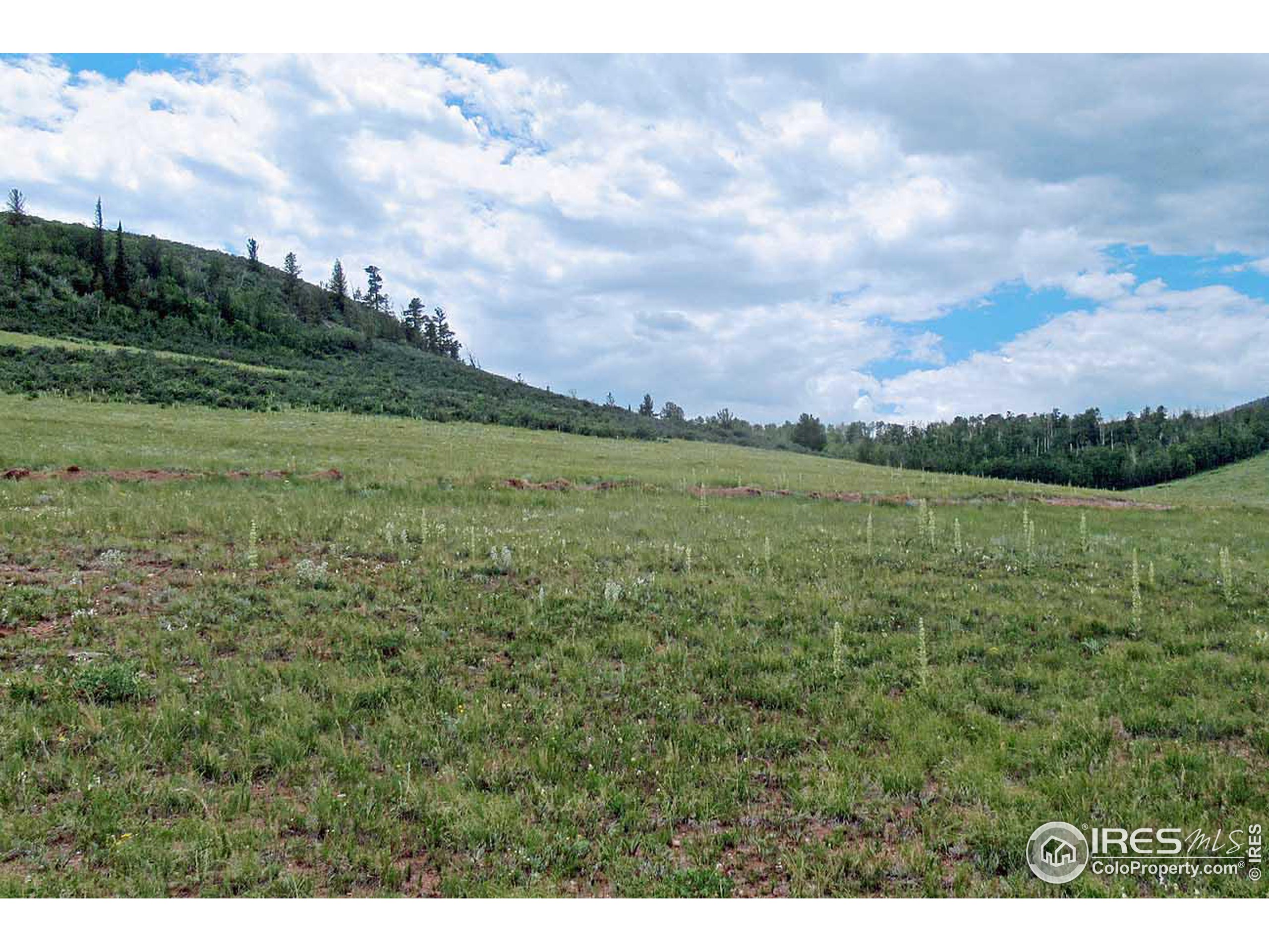 Plano Road Livermore, CO 80536 - Photo 3 of 9 Gallery Image 3