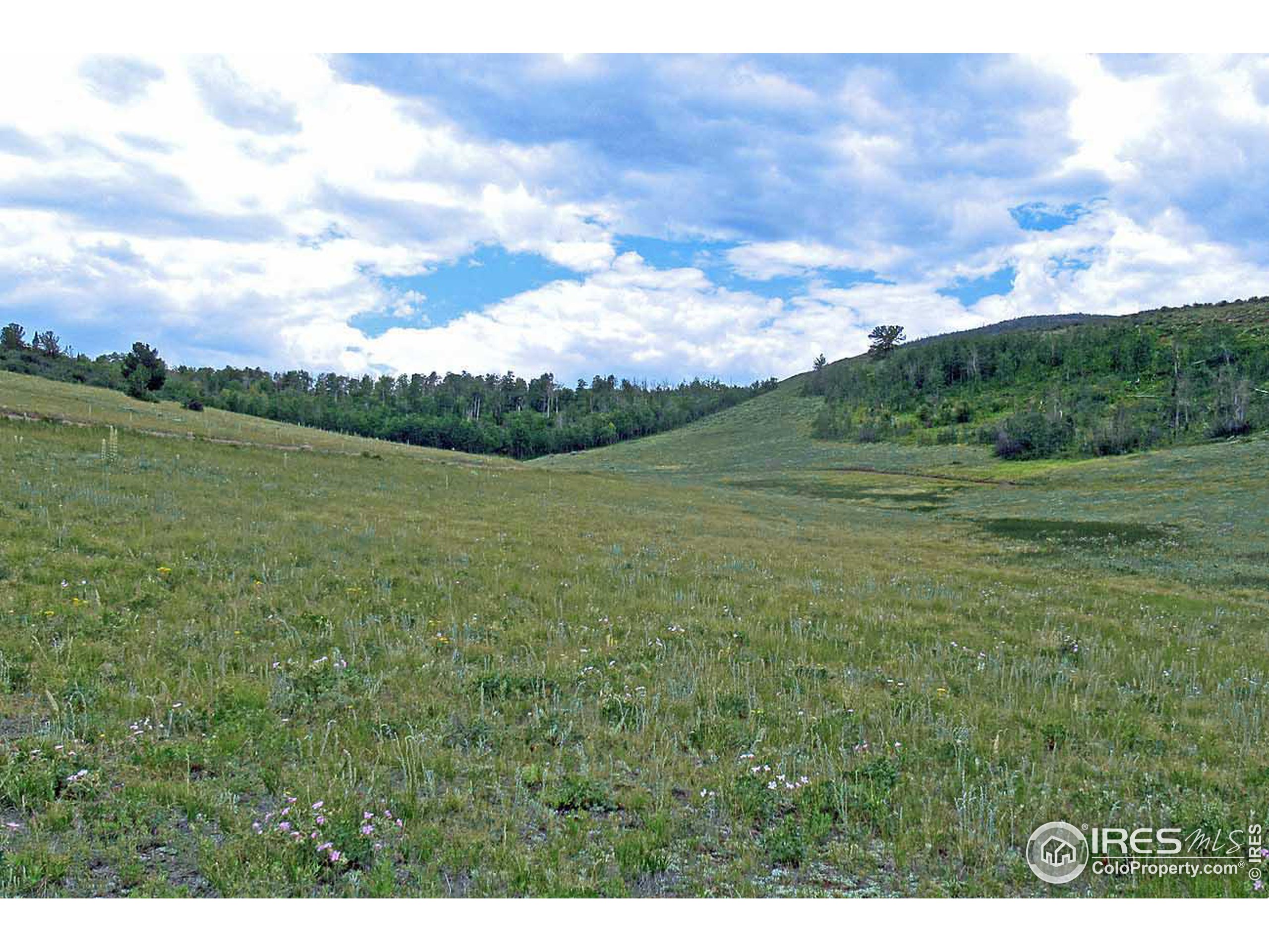 Plano Road Livermore, CO 80536 - Photo 4 of 9 Gallery Image 4