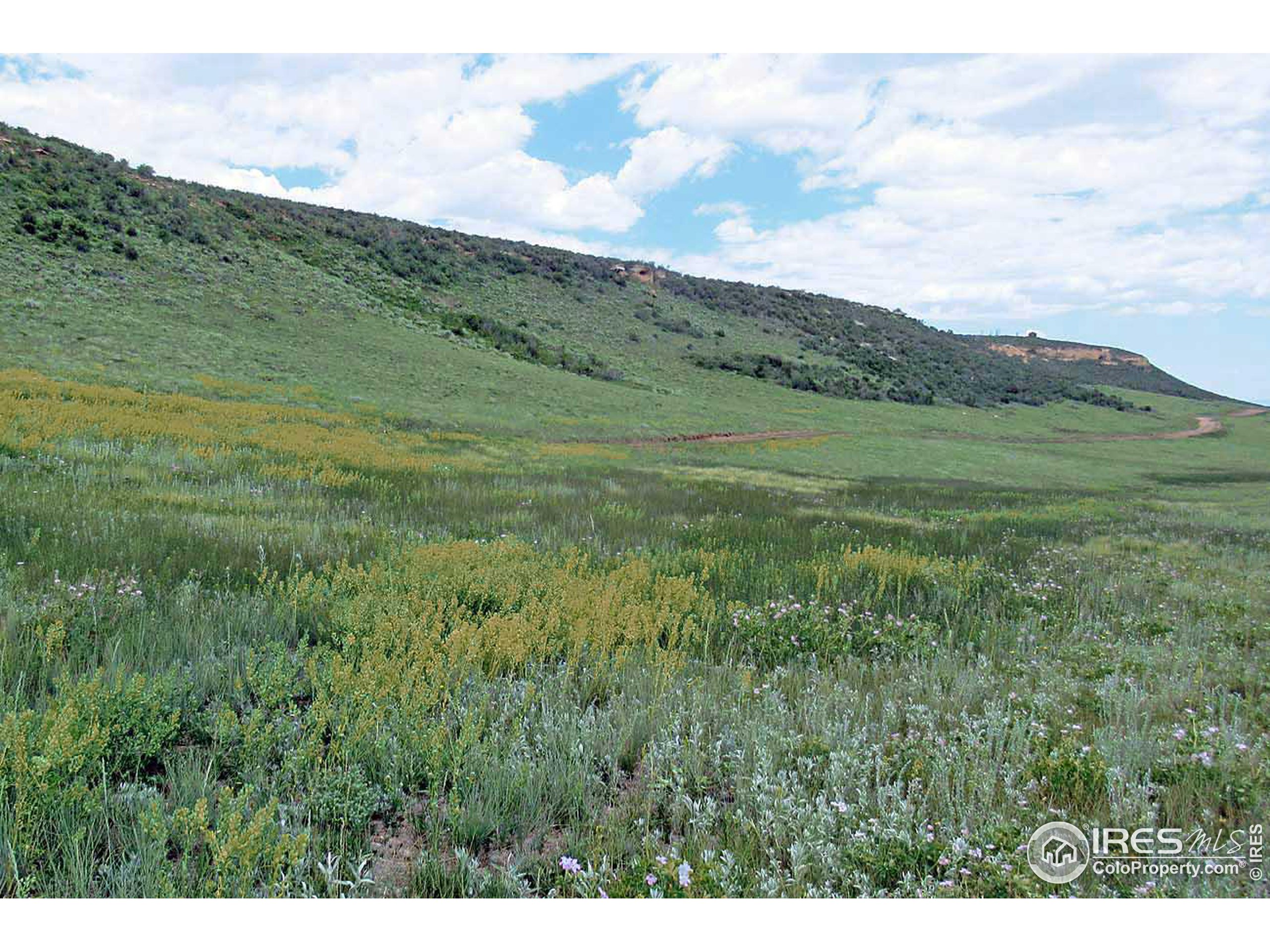 Plano Road Livermore, CO 80536 - Photo 6 of 9 Gallery Image 6