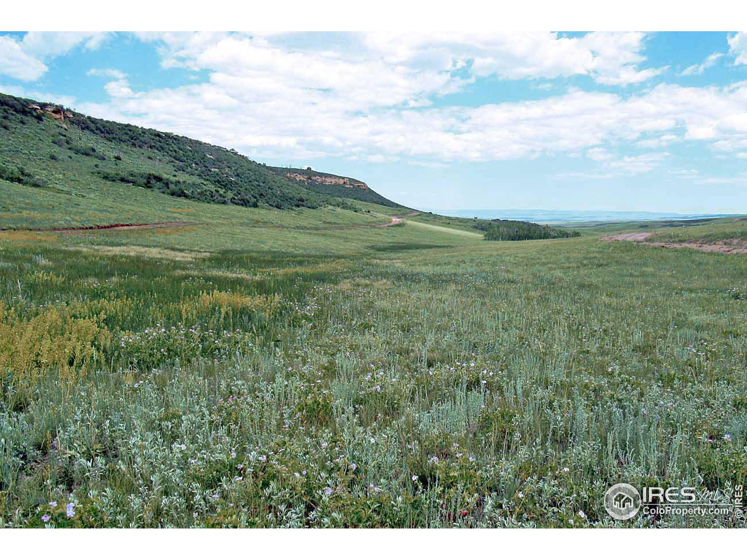 Plano Road Livermore, CO 80536 - Photo 7 of 9 Gallery Image 7