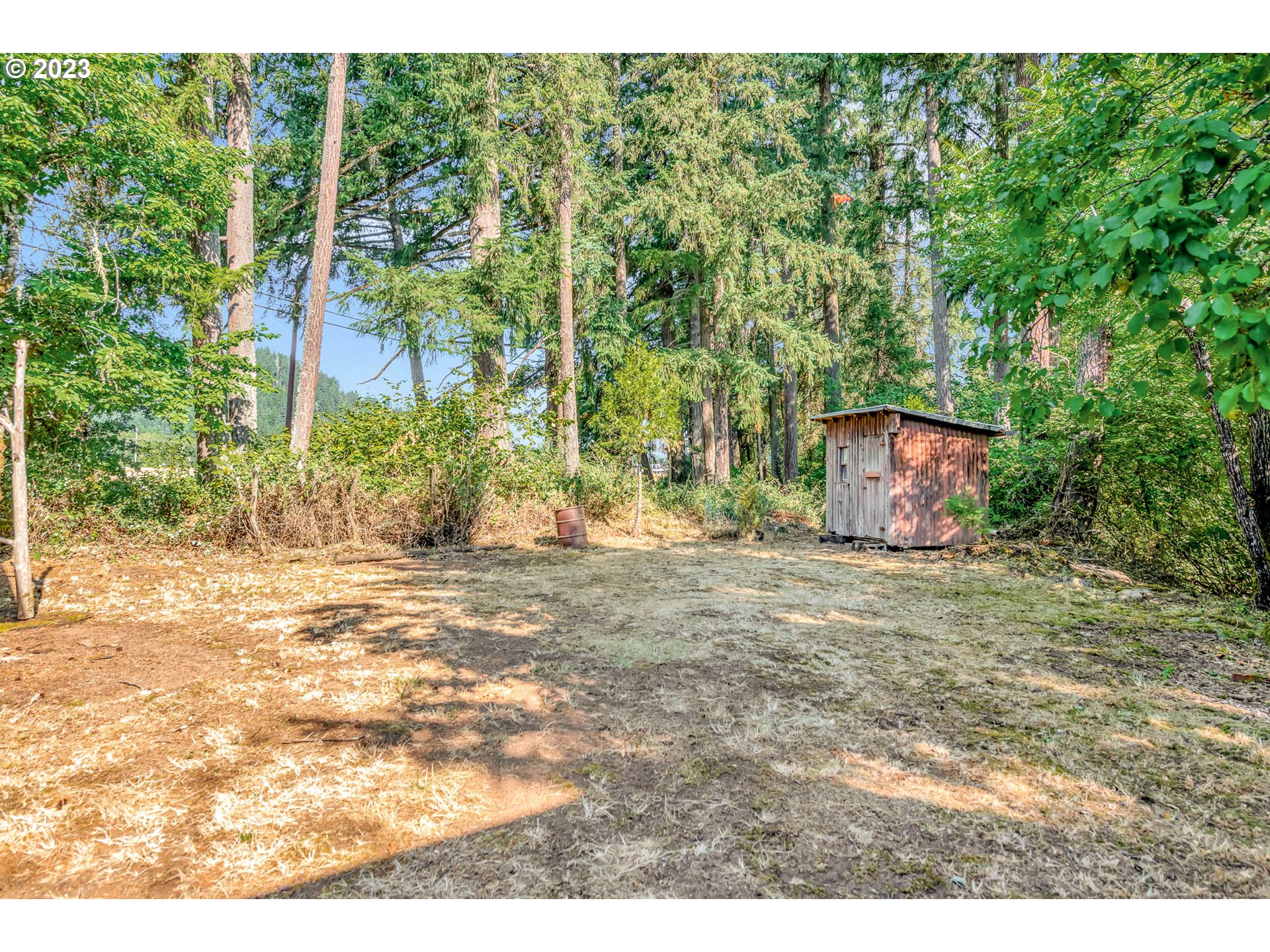 77383 Mosby Creek Road Cottage Grove, OR 97424 - Photo 41 of 48 Yard