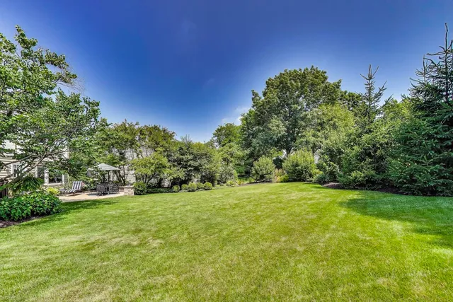 a view of a grassy field with trees in the background