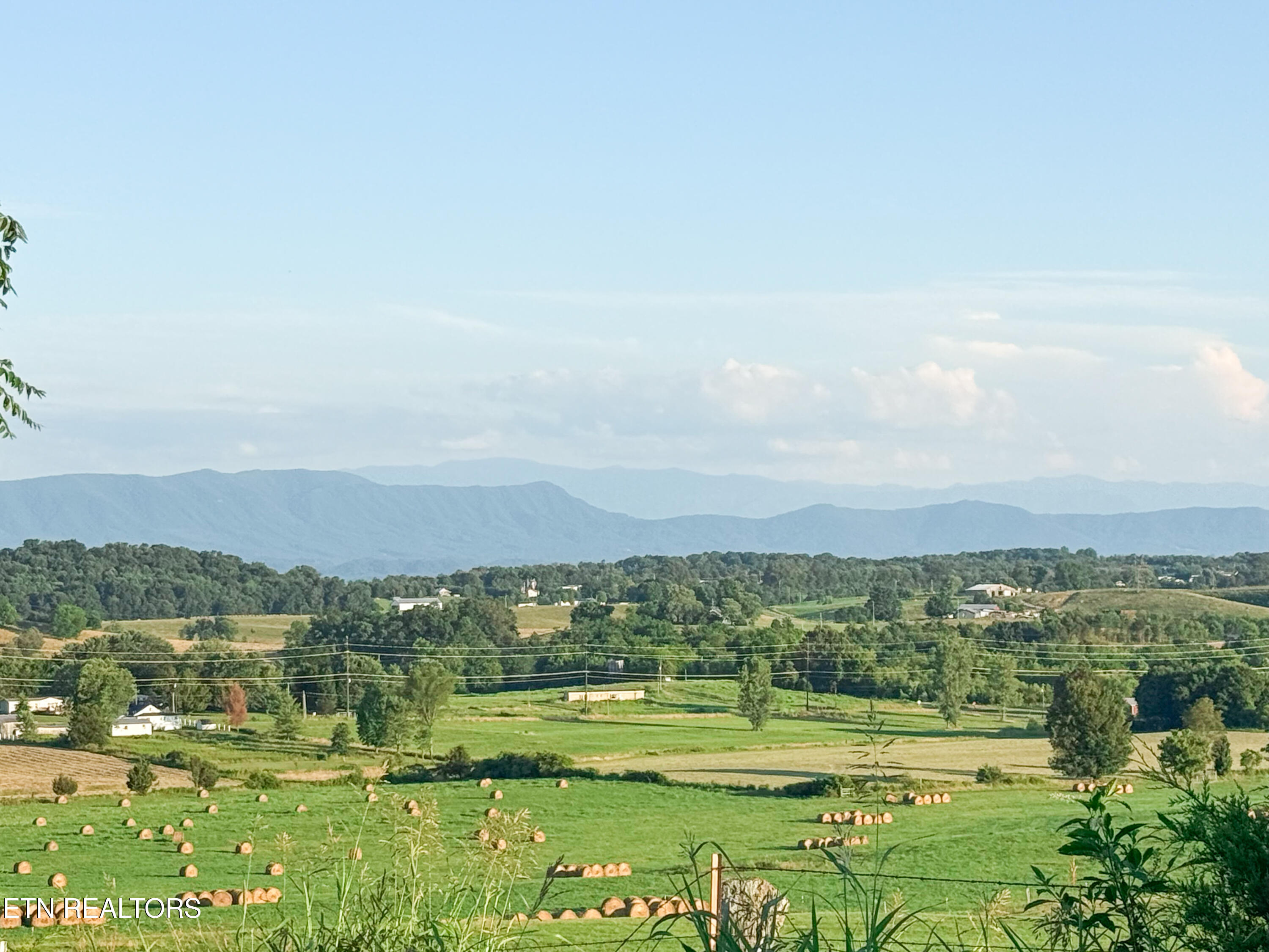 Photo Jul 03 2025, 7 53 47 PM