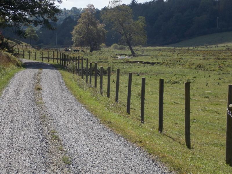 1612 Stonewall Road Northeast Check, VA 24072 - Photo 29 of 43 a view of a pathway with a wrought fence