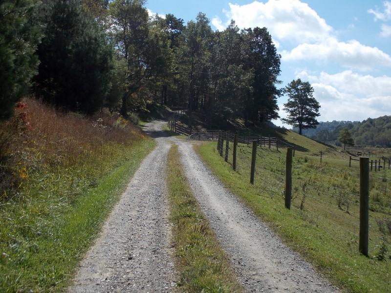 1612 Stonewall Road Northeast Check, VA 24072 - Photo 33 of 43 a view of a pathway with a park