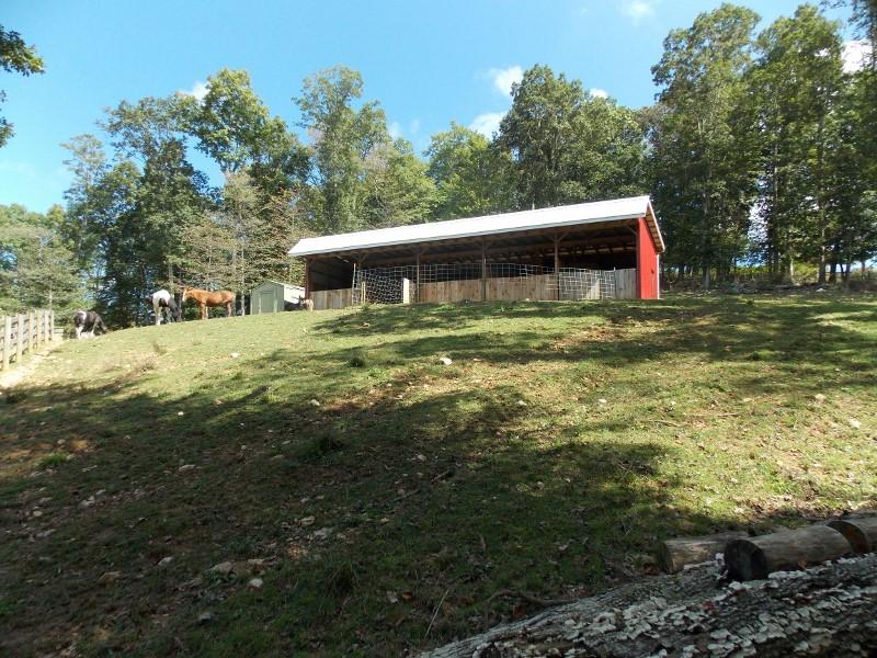 1612 Stonewall Road Northeast Check, VA 24072 - Photo 36 of 43 a backyard of a house with yard and trampoline