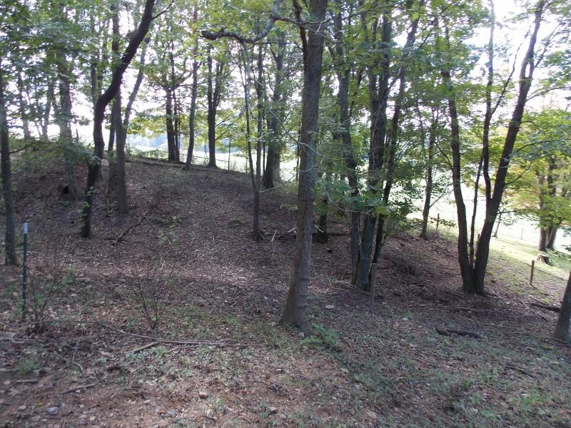 1612 Stonewall Road Northeast Check, VA 24072 - Photo 37 of 43 a view of a forest that has large trees