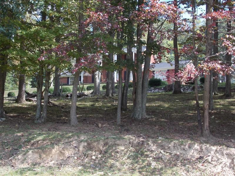 1612 Stonewall Road Northeast Check, VA 24072 - Photo 40 of 43 a backyard of a house with lots of green space