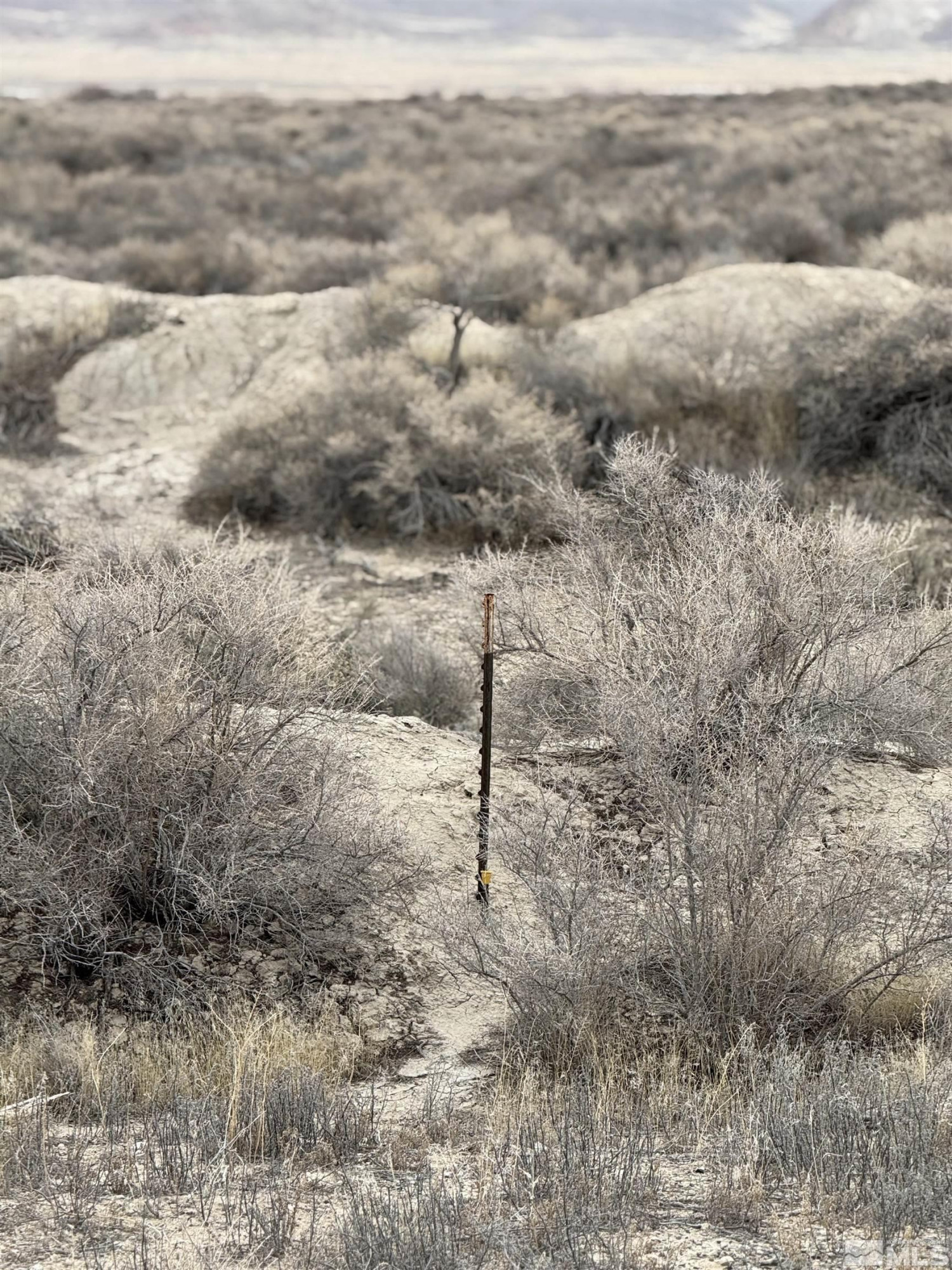2500 Old Emigrant Road Lovelock, NV 89419 - Photo 3 of 9 a view of a dry yard