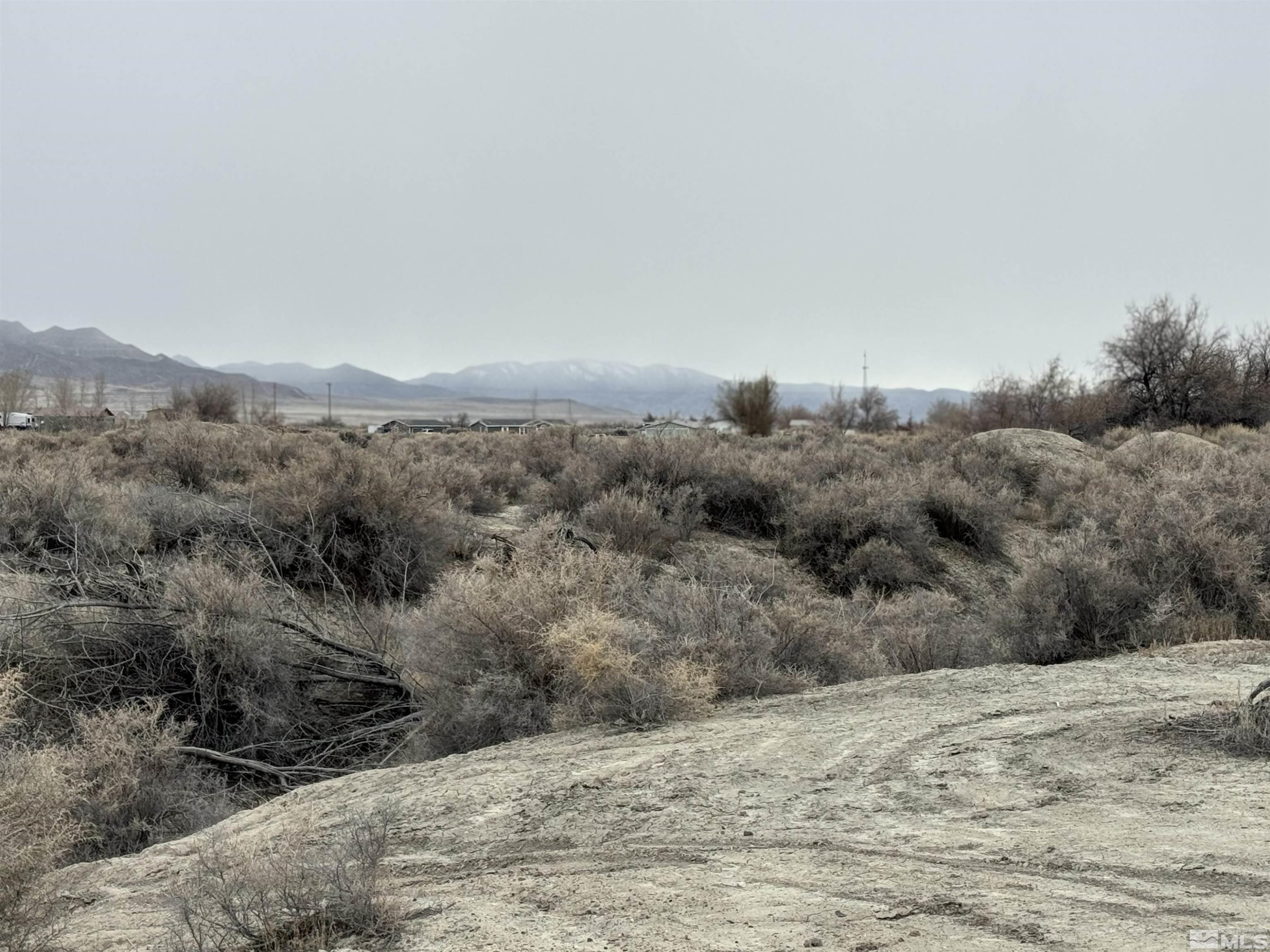 2500 Old Emigrant Road Lovelock, NV 89419 - Photo 6 of 9 a view of a dry yard with mountains in the background