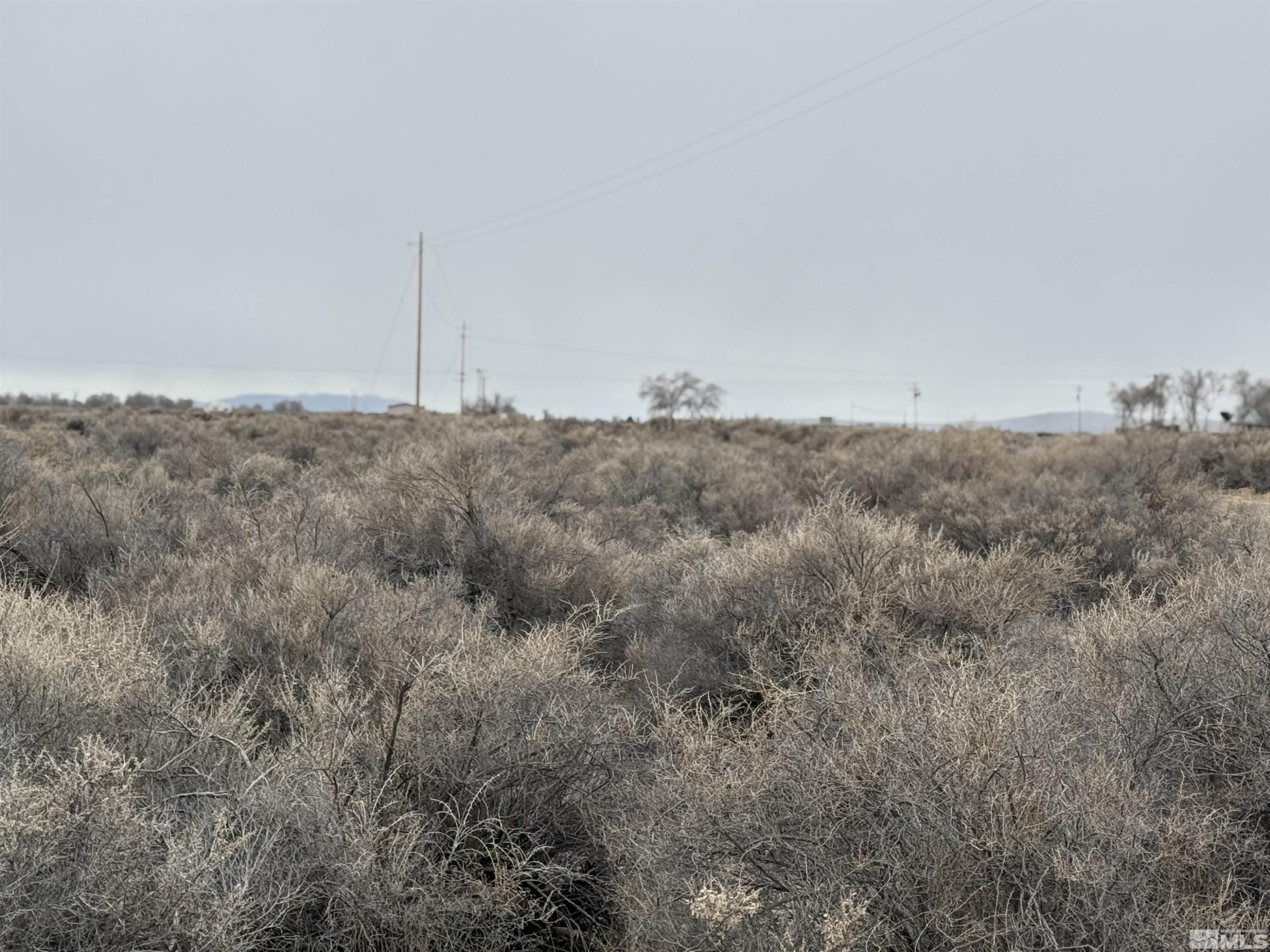 2500 Old Emigrant Road Lovelock, NV 89419 - Photo 7 of 9 a view of a dry field