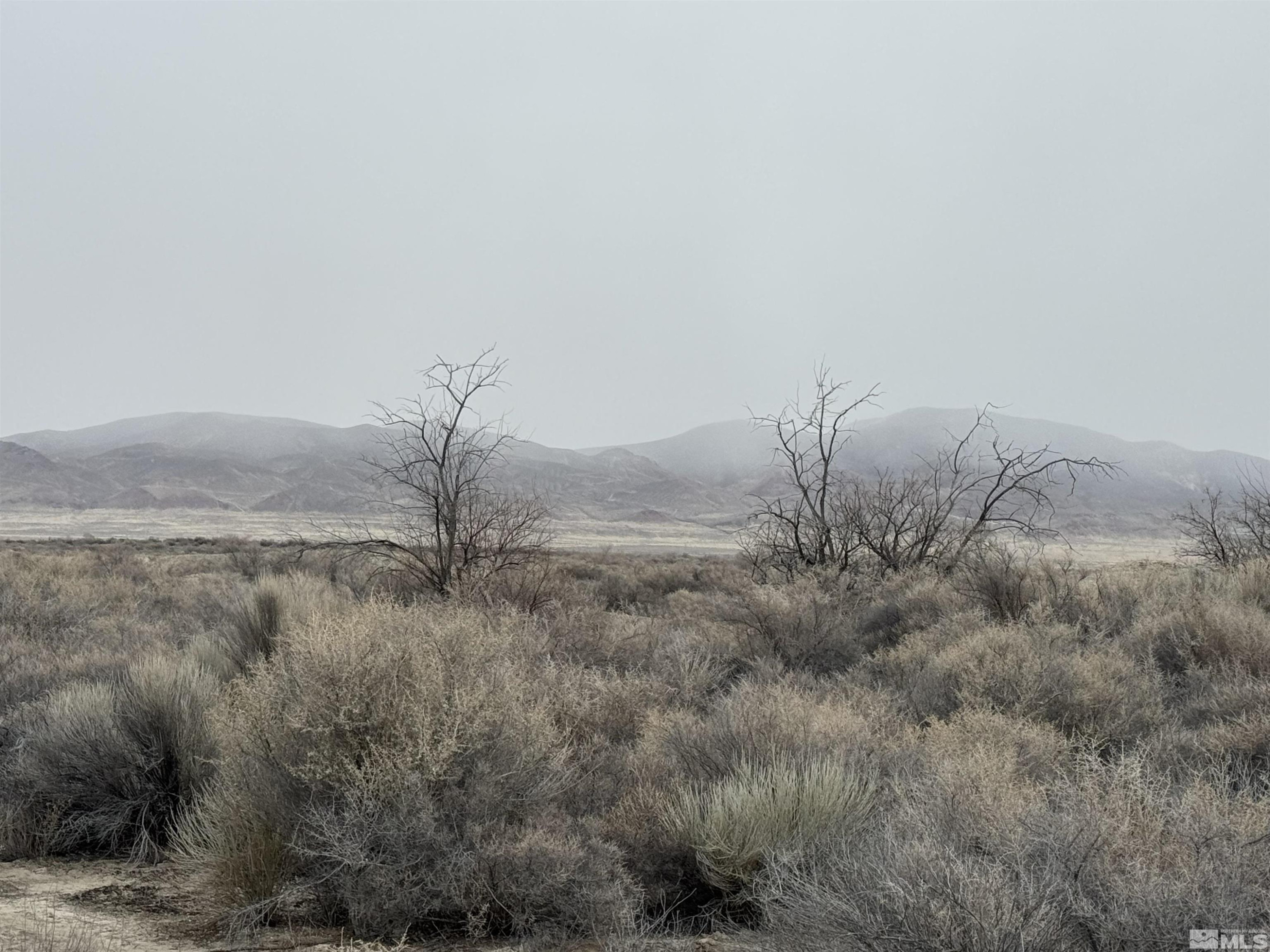 2500 Old Emigrant Road Lovelock, NV 89419 - Photo 8 of 9 a view of a dry field