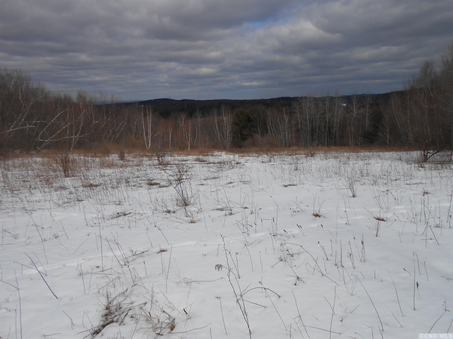 0 Duhig Road Athens, NY 12015 - Photo 1 of 3 Photo 1