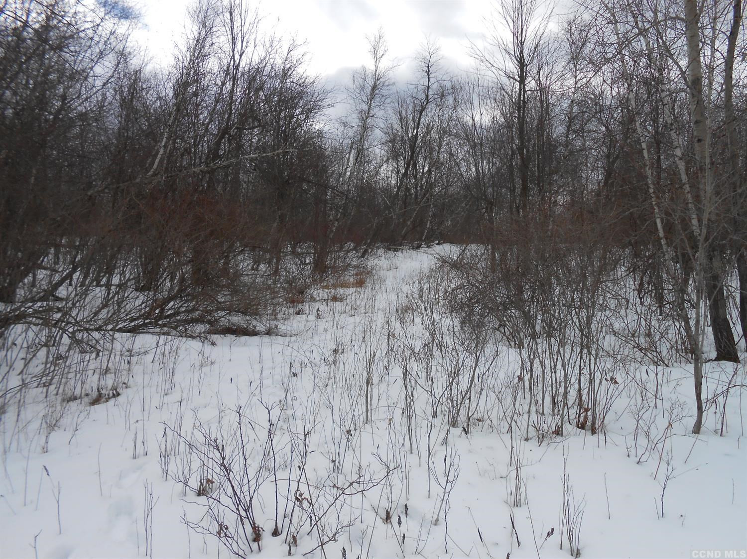 0 Duhig Road Athens, NY 12015 - Photo 2 of 3 Photo 2